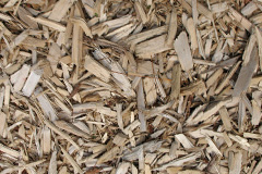 biomass boilers Llancowrid