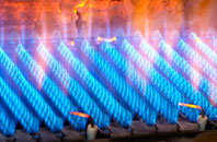 Llancowrid gas fired boilers